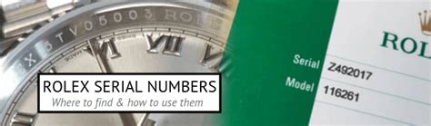 rolex serial number check 2020|rolex serial number check website.